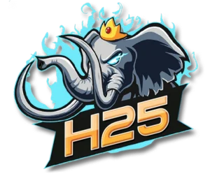logo h25