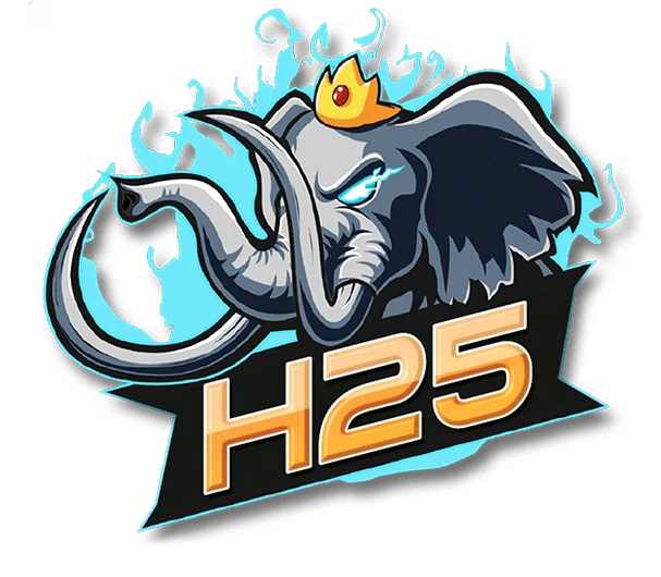 logo h25